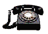 00009551